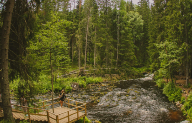Дивный день в Карелии: водопады, хаски, водная прогулка на драккаре к форелевой ферме - Bilet.spb.ru