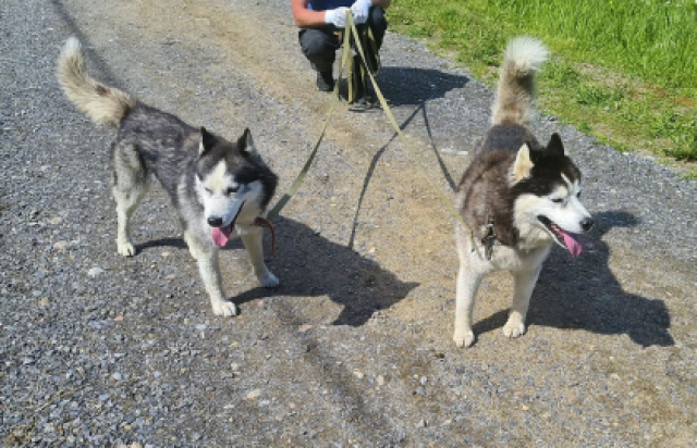 Природа Карелии: четыре водопада и круиз на ладье по Ладожским шхерам - Bilet.spb.ru