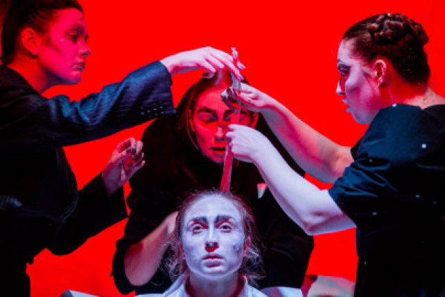 Спектакль «ЧайкаNoName. По мотивам повести Р. Баха» - Bilet.spb.ru